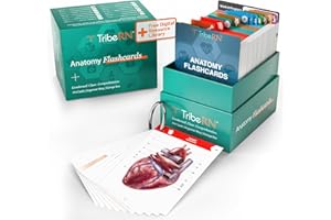 TRIBE RN TribeRN Anatomy and Physiology Flash Cards – 320 Study Resources for Students – Human Anatomy & Physiology Study Tools – Medical, Nursing School Essentials – Durable & Easy to Use Flashcards