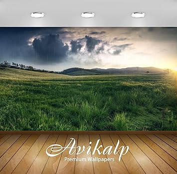 Buy Avikalp Awi5952 Rain At Sunset Nature Full Hd Wallpapers Wall