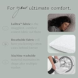 Coop Home Goods Original Pillow Case, Queen Size