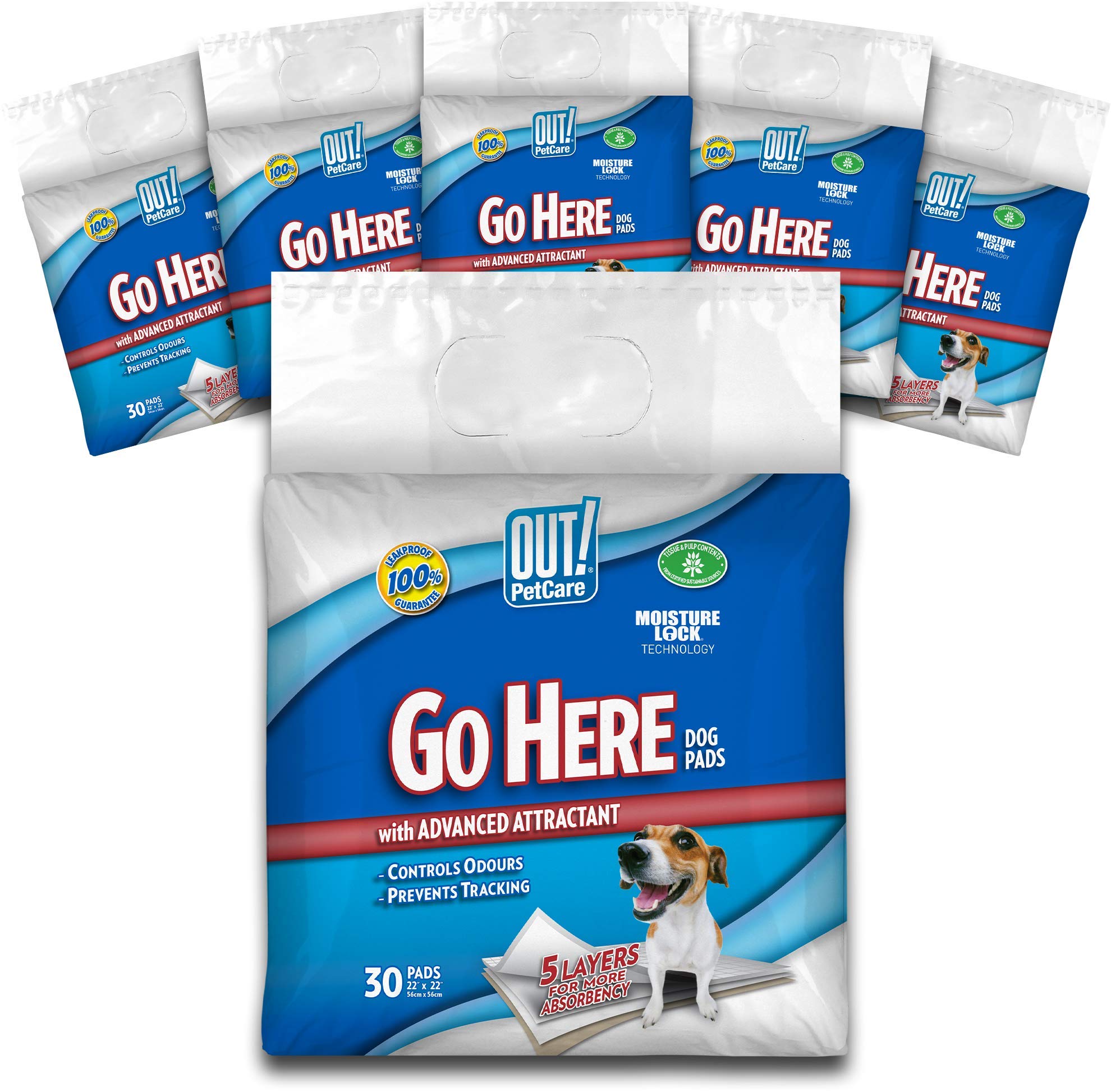 OUT! Go Here Absorbent Pet and Puppy Training Pads |180 Pads