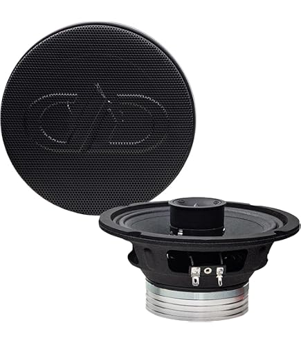 Amazon.com: DD Audio VO-XN306-S2 6.5