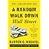 A Random Walk Down Wall Street: The Time-Tested Strategy for Successful Investing (Eleventh Edition)