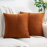 HWY 50 Burnt Orange Velvet Throw Pillow Covers 20x20 Inch, Pack of 2 Soft Cozy Solid Decorative Luxury Fall Cushion Cases for Couch Sofa Bed Living Room Bedroom