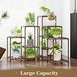 Bamworld 5-Tier Plant Stand Corner Indoor Outdoor Wooden Shelf view 6