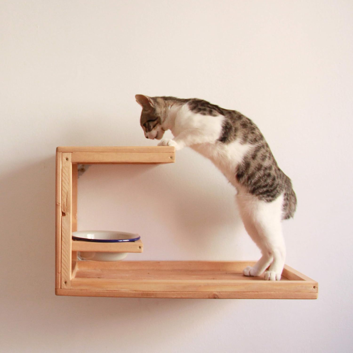 COMEDERO DE PARED PARA GATOS «BALOO»: Amazon.es: Handmade