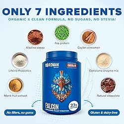 BIRDMAN Falcon Vegan Protein Powder Organic, Stevia