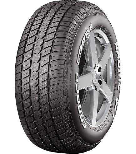 2 New Dunlop Winter Maxx 2 - 205/55r16 Tires 2055516 205 55 16