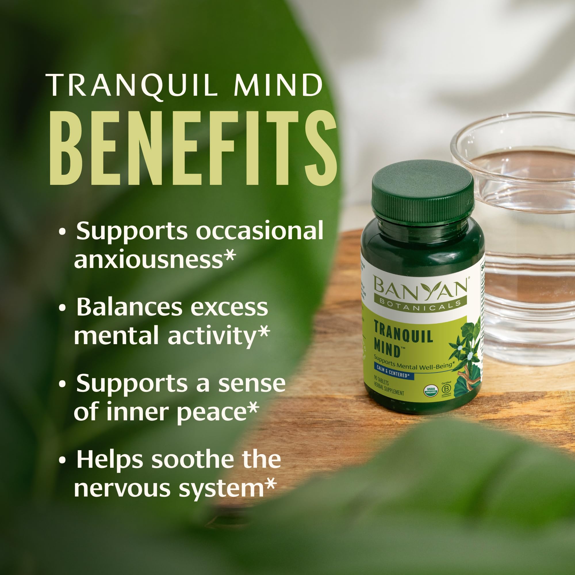 Banyan Botanicals Tranquil Mind – Organic Supplement with Guduchi, Gotu Kola & Skullcap – Supports Occasional Anxiousness & Promotes a Sense of Calm * – 90 Tablets – Non-GMO Sustainably Sourced Vegan