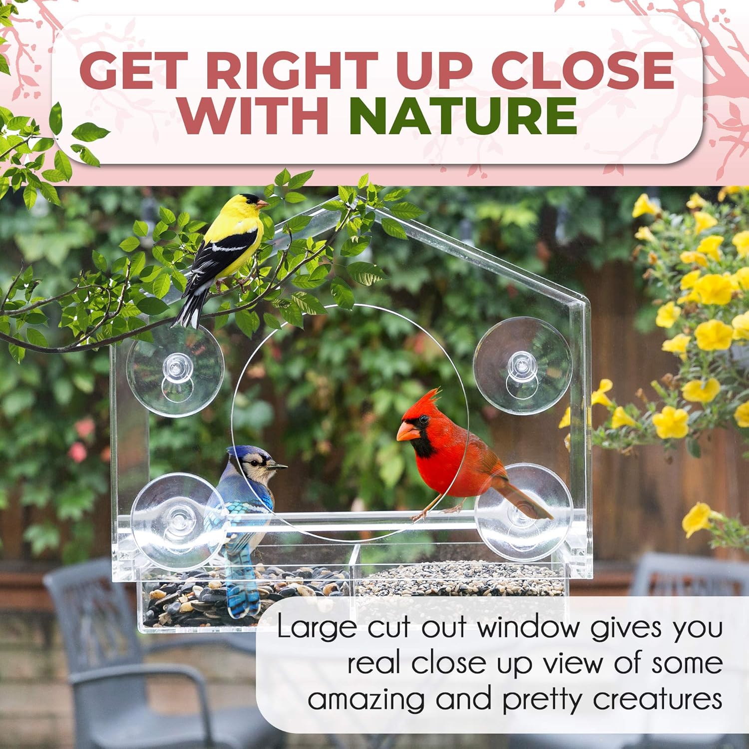 Wild Birds of Joy Bird House Window Bird Feeder with 4 Super Strong Suction Cups & Locking, Sliding Seed Tray, Extra Large, Clear Acrylic, Outdoor Bird Feeders, Outside View of Cardinal and Blue Jay : Garden & Outdoor