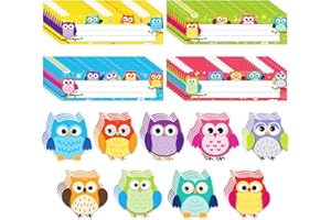 Geyee 81 Pcs Bulletin Board Cutouts Self Adhesive Name Tags Teacher Name Plate for Desk Classroom Birthday Party Baby Shower School Teacher Supplies (Owl)