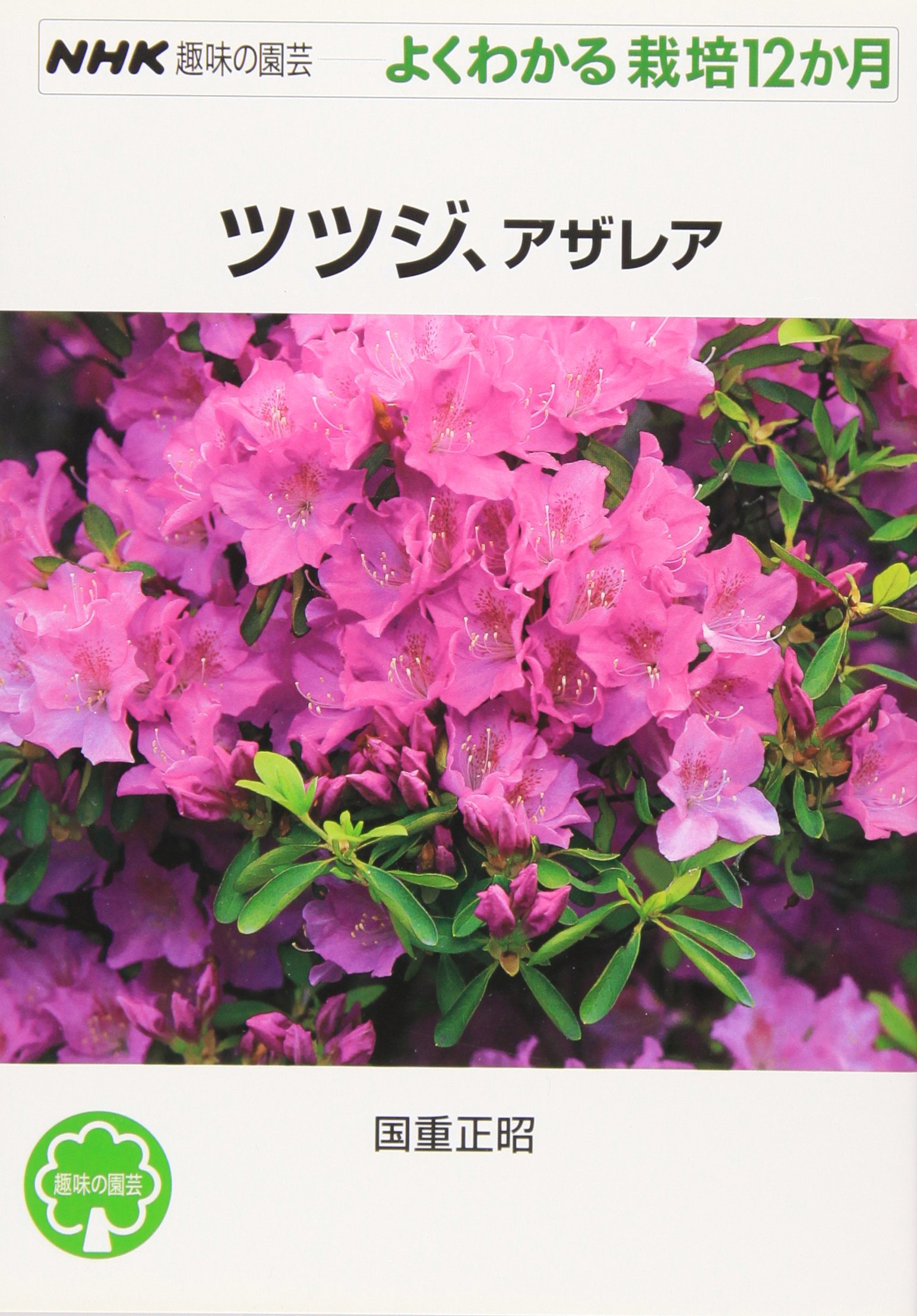 12 Months Cultivation Can Be Seen Well Gardening Hobby Nhk Azalea Azalea 02 Isbn Japanese Import Amazon Com Books