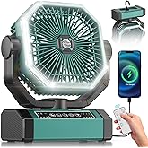 Portable Rechargeable Fan - 9-Inch Camping Fan for Tent, 24000mAh(60Hrs) Battery Operated Fan for Camping, Auto Oscillation Cordless Fans, Tent Fan with Remote/Light, 4 Speeds, 4 Timing, Outdoor
