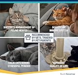 NutriScience LysineAid Cat Gel L-Lysine 50ml Salmon Flavour for Cats & Kittens view 7
