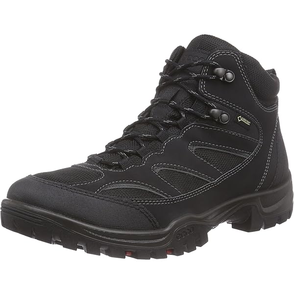 ecco men's xpedition iii gtx hiking