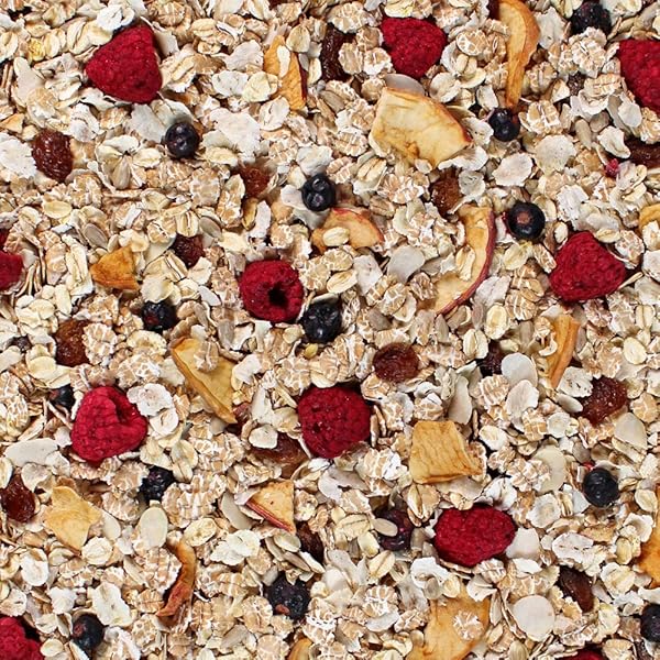 SEITENBACHER MUESLI #2 BERRIES TEMPTATION, 16 OUNCE