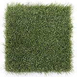 NewTechWood US-QD-ZX-GS Composite Grass Tile, Green