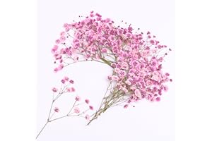 LYFORTZY 30 Pcs Pink Baby's Breath Real Dried Pressed Flowers.Vacuum-Packed Mini DriedBaby's Breath Flowe Specimen +1 Tweezers, for Resin Art /DIY Making Wedding Card/ Home Party Decor.