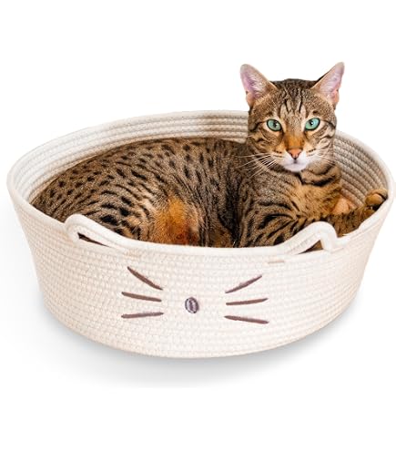 Stimulicat Cotton Rope Cat Bed – Handwoven Basket, Foldable, Scratchable For Small & Large Cats (Green)