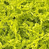 Mefleet 1 LB Crinkle Cut Paper Shred Filler Light