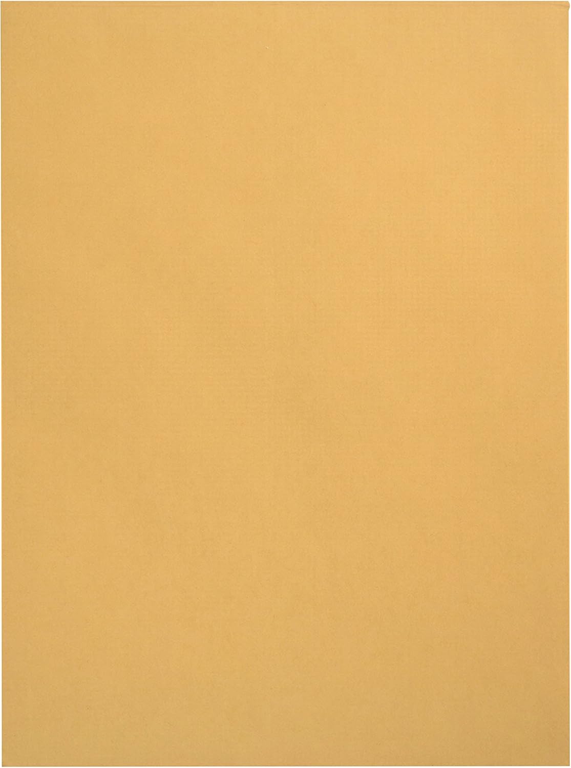 100 6 x 9 Self Seal Golden Brown Kraft Catalog Envelopes - Oversize 6 x 9 Envelope Peel and Seal Flap with 28 Pound Kraft Paper Envelopes - Printer Friendly Design - 100 Count : Office Products