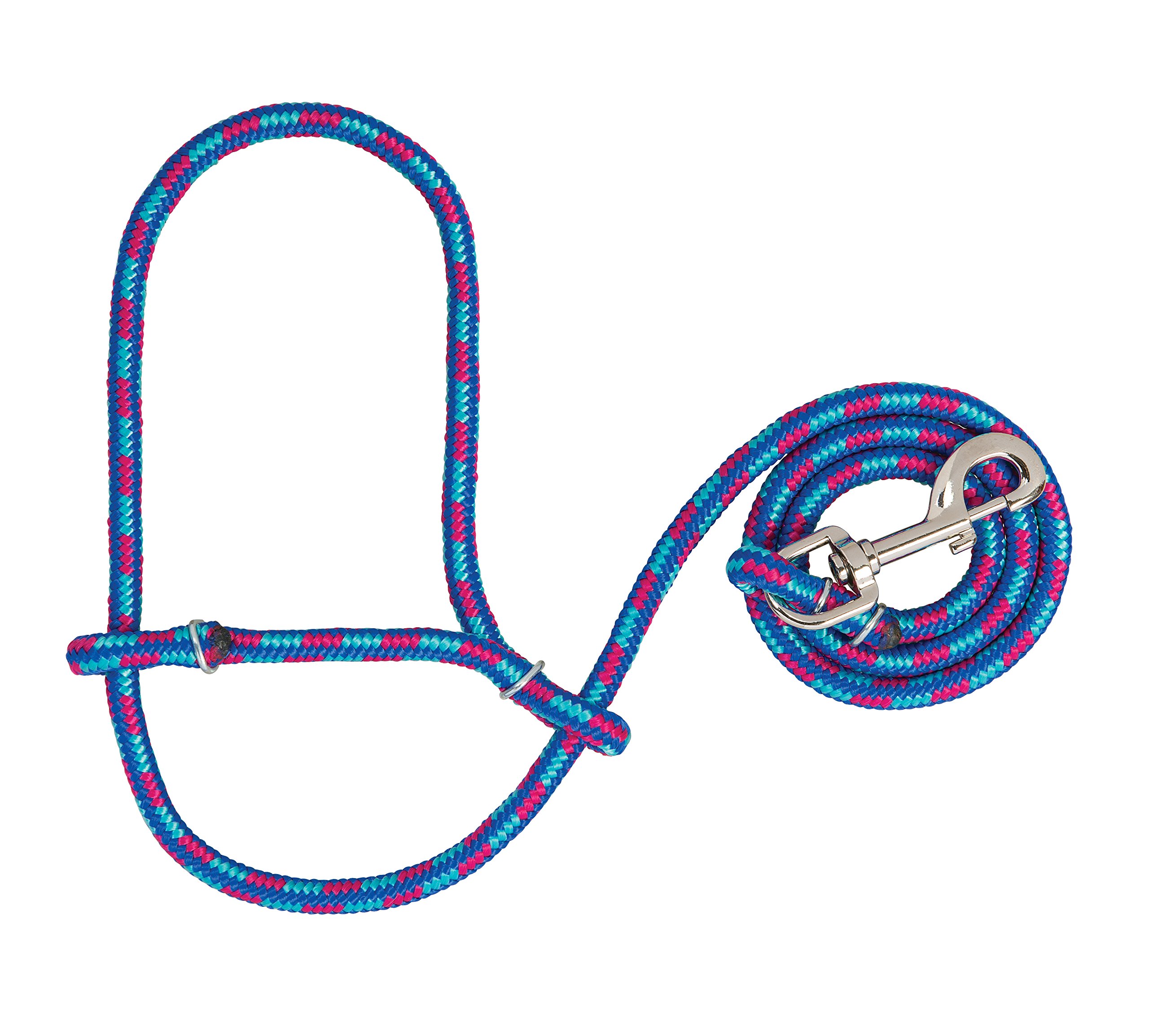 Weaver Leather Livestock Poly Rope Sheep Halter with Snap, Hurricane Blue/Royal Blue/Rose, Average