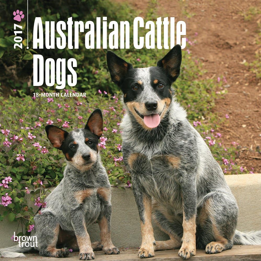 Australian Cattle Dogs 2017 Mini 7x7 (Multilingual Edition)