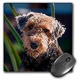 3D Rose"Airedale Terrier" Matte Finish Mouse Pad