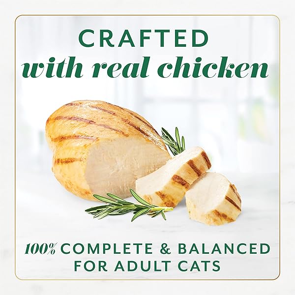 FANCY FEAST GEMS PATE CAT FOOD MOUSSE WITH CHICKEN AND A HALO OF SAVORY GRAVY CAT FOOD – (PACK OF 8) 4 OZ. BOXES