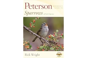 Peterson Reference Guide To Sparrows of North America (Peterson Reference Guides)