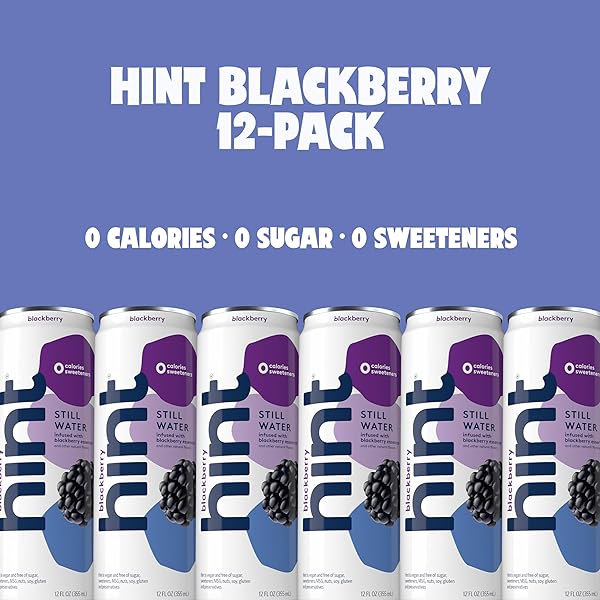 HINT FRUIT-INFUSED CANNED WATER, BLACKBERRY – PURIFIED FLAVORED WATER WITH ZERO CALORIES, NATURAL FLAVORS, AND SUGAR FREE – 12 FL OZ CANS (PACK OF 12)