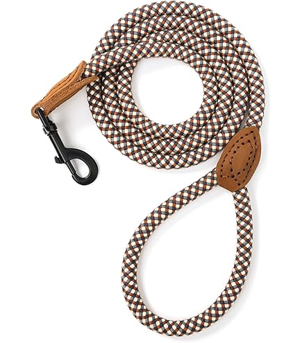Amazon.com : Paracord Planet  550 Paracord DIY Pet Leash Kit  Heavy Duty Dog  Leash, 7FT Long Rope Canine Lead, Walking, Running and Pet Training - Gold  Diamond/Black : Paracord Planet : Pet Supplies