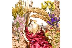 Koceko 10 Kinds Edible Natural Flower Hamster Bedding Decor - Dried Hamster Sprays & Forages Cereal Treats, Small Animal Hideout Cage Accessories, Pet Supply for Syrian, Gerbil, Guinea Pig