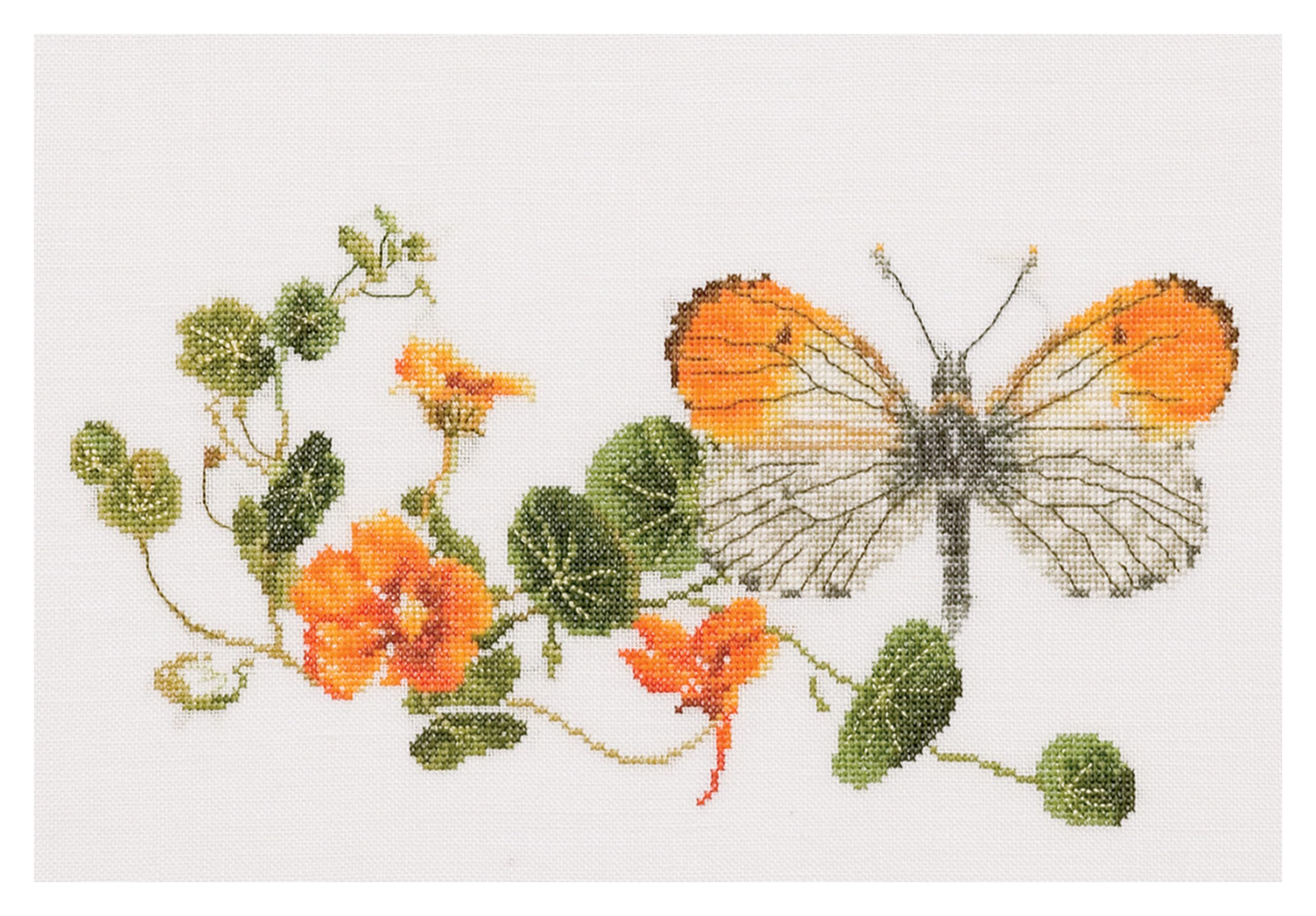 Thea Gouverneur - Counted Cross Stitch Kit - Butterfly-Nasturtium - Aida - 18 Count - Embroidery Kit for Adults - DMC Embroidery Threads and Other Cross Stitch Supplies Included - 437A