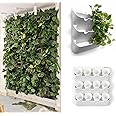 BOXSAND-12 (24"x26") Living Wall - Vertical Wall Planter, Vertical Garden for 12 Plants, Indoor/Outdoor, 2 Screws Install (White)