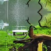 JARDLI Music Glass CO2 Diffuser for Aquarium Plant (2'' for Tank Beyond 75 gallons)