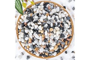 Sukh Mixed Color Pebbles for Succulent and Cactus - 420G 1/5 Inch Succulent Cactus Gravel Pebbles,Natural Decorative Polished River Stones,Small Rocks for Outdoor Gardening,Vases,Landscaping,Fish Tank