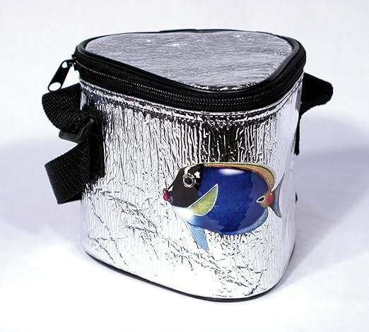 small beach cooler bag