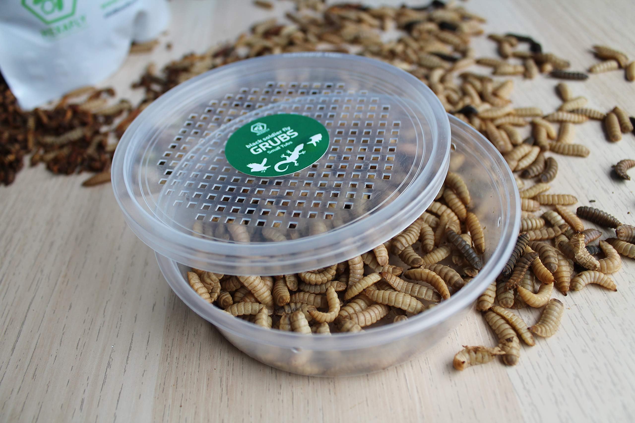 Hexafly 40g Live Black Soldier Fly Larvae For Reptiles