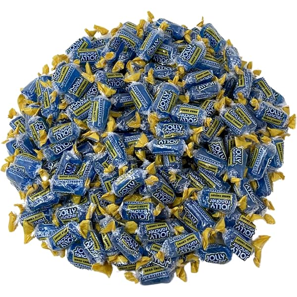 Gummy Bears -1.5 Lbs Individually Wrapped Fun Size Packs-12 Delicious Flavors, Gluten Free Gummy Bears-Great For Kids And Adults Of All Ages(24 Oz