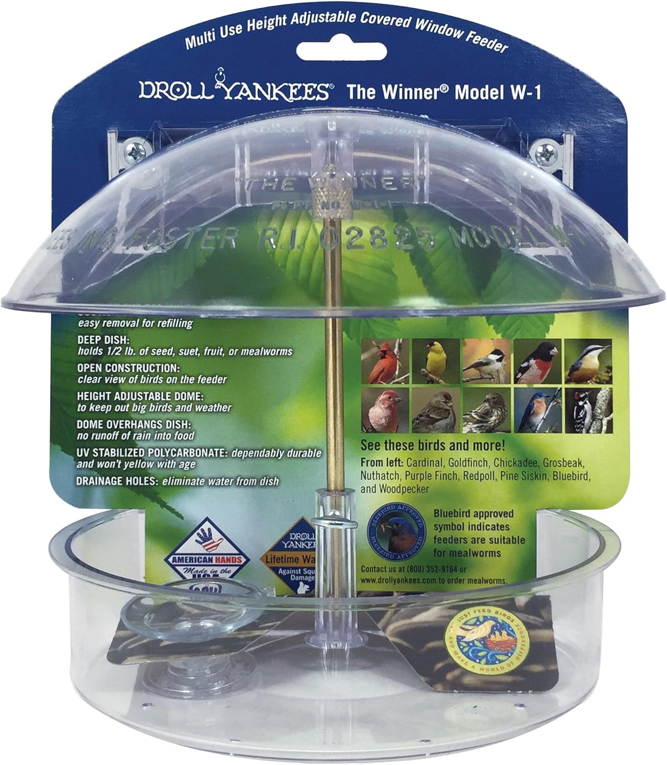 Amazon Com Droll Yankees W1 Winner Window Feeder Wild Bird