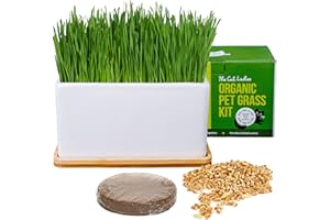 The Cat Ladies Organic Cat Grass Growing kit with Organic Seed Mix, Soil and Ceramic Planter with Bamboo Tray. Natural Hairball Control and Remedy for Cats