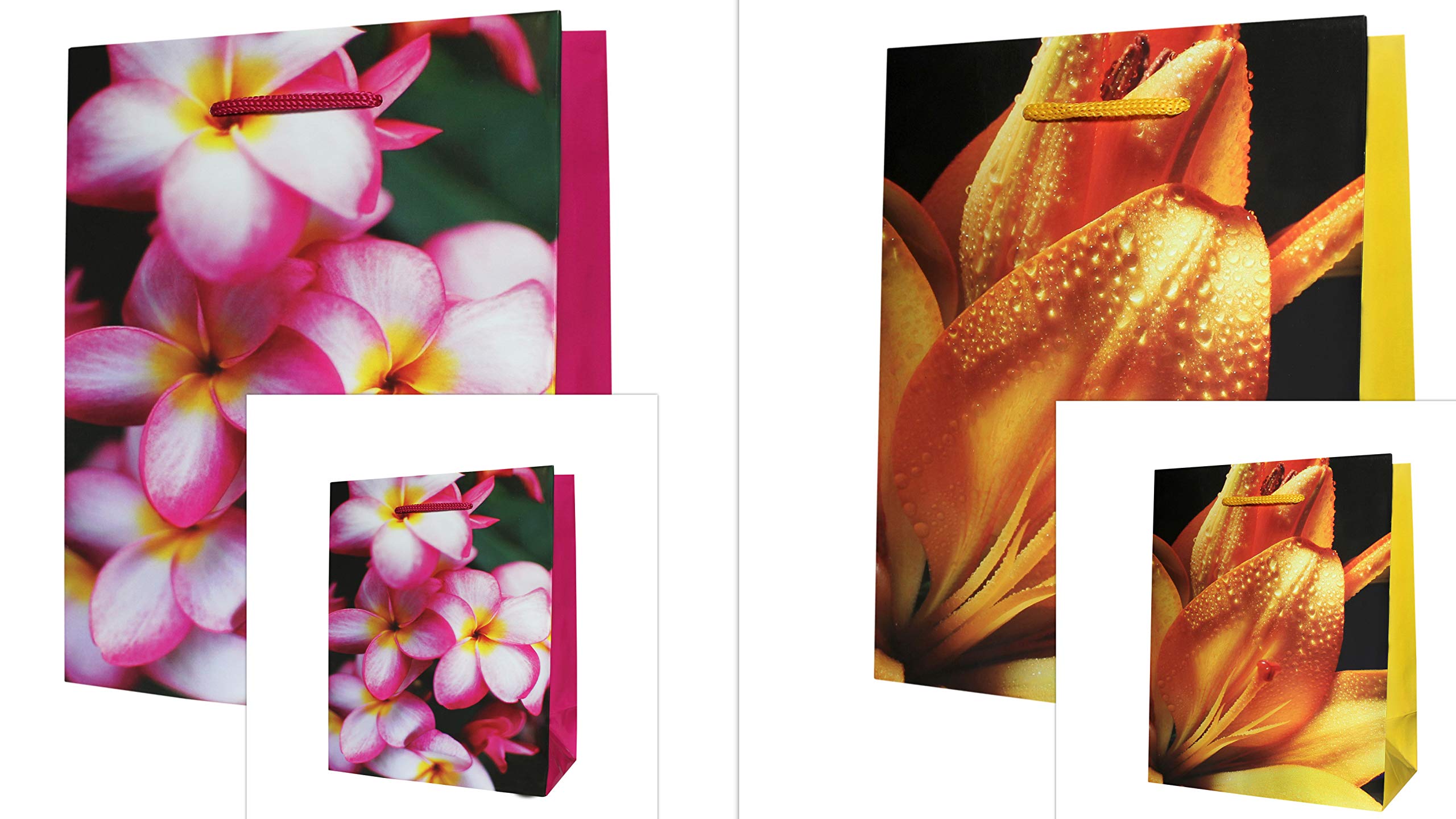 Set of 4 Gift Bags DIN A4 and DIN A5 Gift Bags 18 x 23 x 10 cm and 32 x 26 x 12 cm Birthday Gift Bags Paper 160 g/m2 Gift Packaging Set Combi Large 05