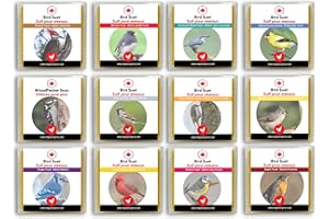 Wild Bird Suet Cakes, High-Energy Food for Backyard Birds (12 Pack, Mixed) - Made in Canada