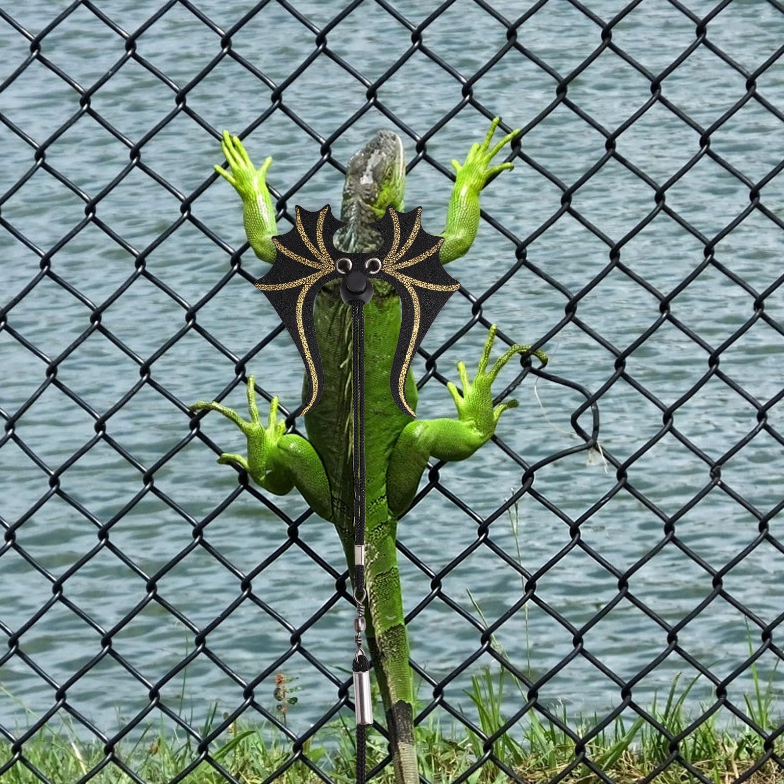 View 6