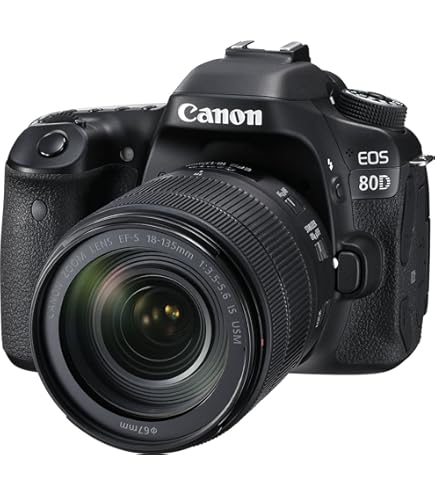 Amazon.com : Canon Digital SLR Camera Body [EOS 80D] and EF-S 18