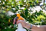 Hozelock H/L SprayMist 500ml 4120 Garden Sprayer view 2