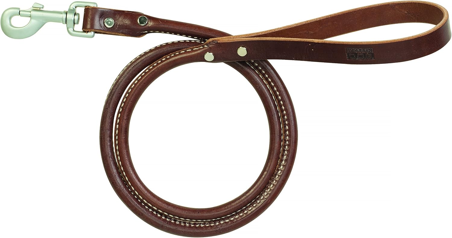 bridle leather dog leash