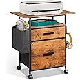 NASHZEN File Cabinet Printer Stand, Fabric Mobile Filing Cabinet with 2 Storage Drawers, for Hanging A4, Letter Size File Folders, Open Shelf with Storage Bag and Hooks Home Office, Rustic Brown