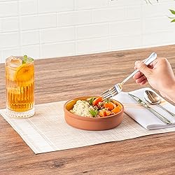 Restaurantware-Terra Tek 15.2 Ounce Terracotta
