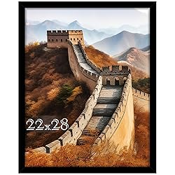 Picrit 22x28 Poster Frame, Picture Frame for Wall